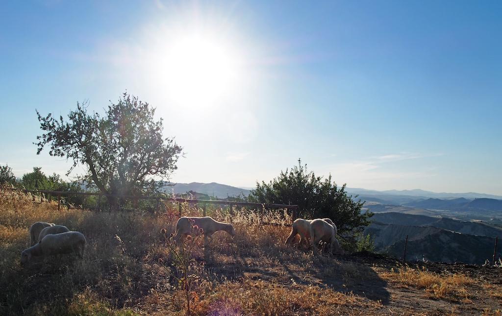 Il Belvedere Civita Bagian luar foto