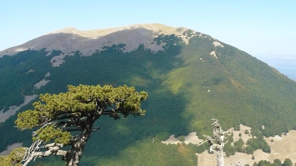 Il Belvedere Civita Bagian luar foto