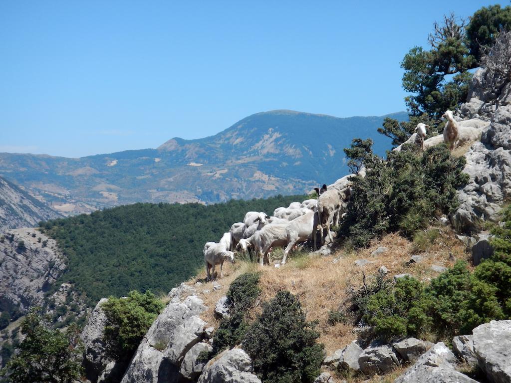 Il Belvedere Civita Bagian luar foto